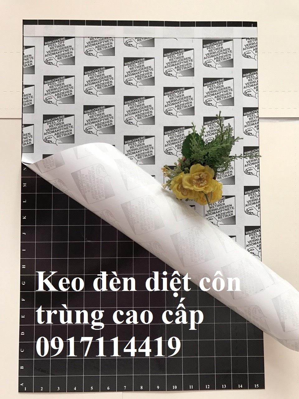 Tấm keo đèn dính côn trùng Đại Sinh cao cấp nhập khẩu từ Hà Lan 30 x 46cm