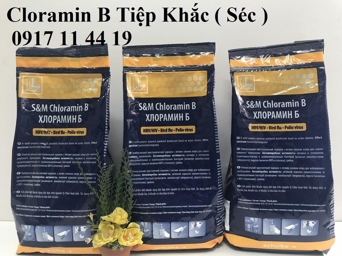 Cloramin B khử trùng nước