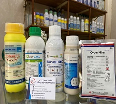 5 loại thuốc chuyên dụng , an toàn cho nhà yến , dùng để diệt mạt, kiến, gián