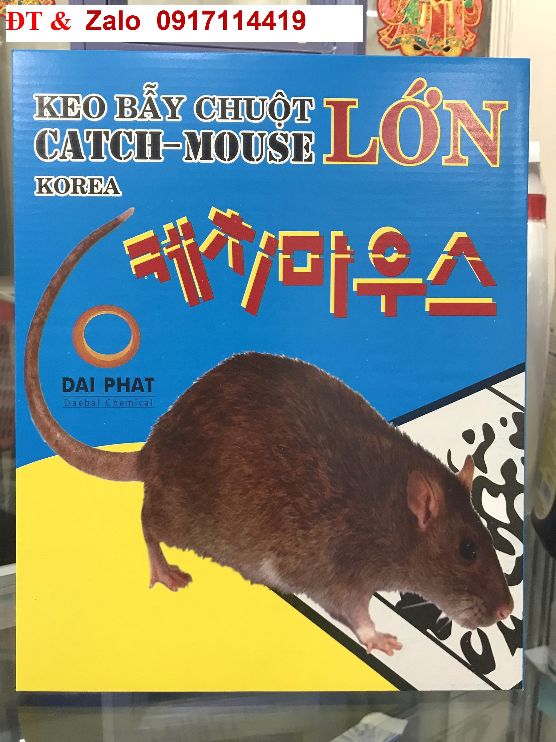 KEO DÍNH CHUỘT CỐNG, CHUỘT TO